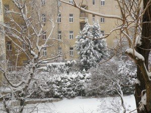 snow in our court yard out the bedroom window