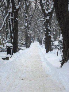 Path through snow covered Olsanke cemetary