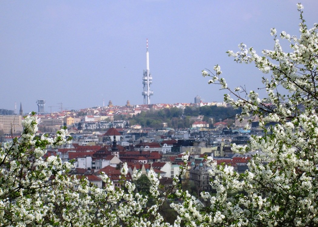 Zizkov Tower Czech Mates