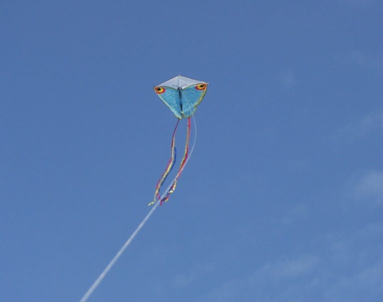 Clean Monday:  Kite Day