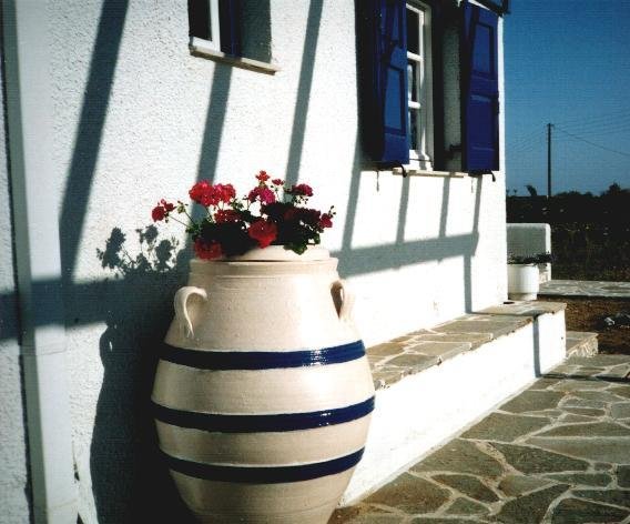 Amphora with geraniums
